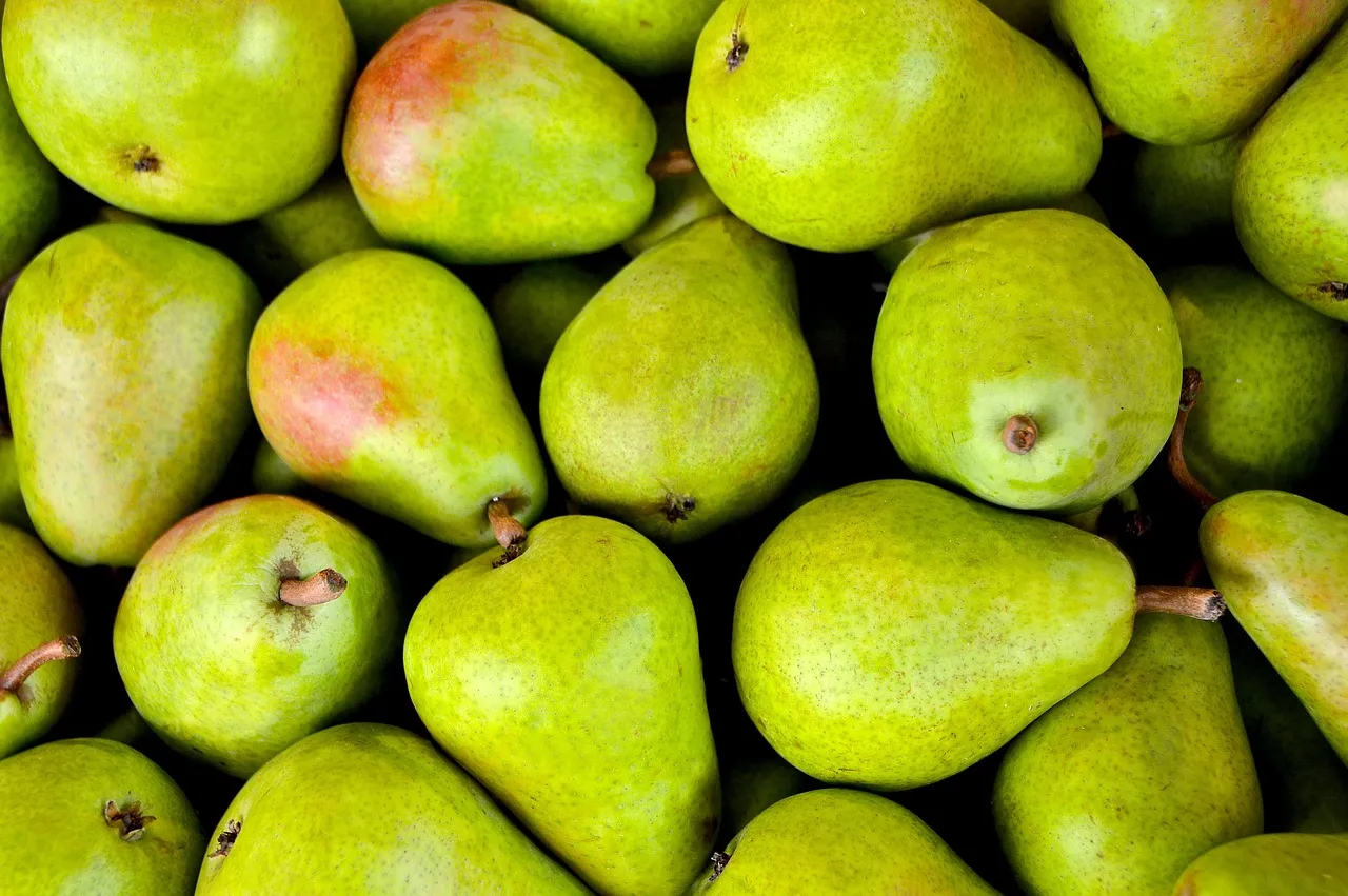 Gesundheitsmanagement für Unternehmen