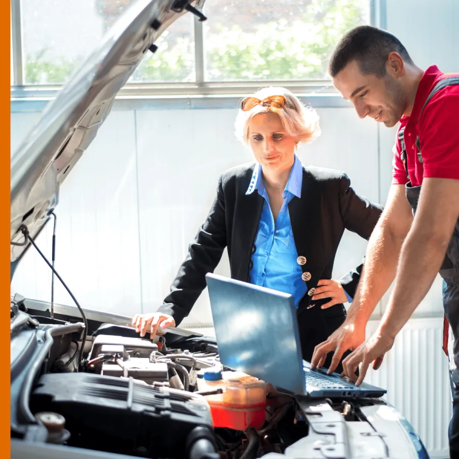 Tierbissschäden in der Kfz-Versicherung